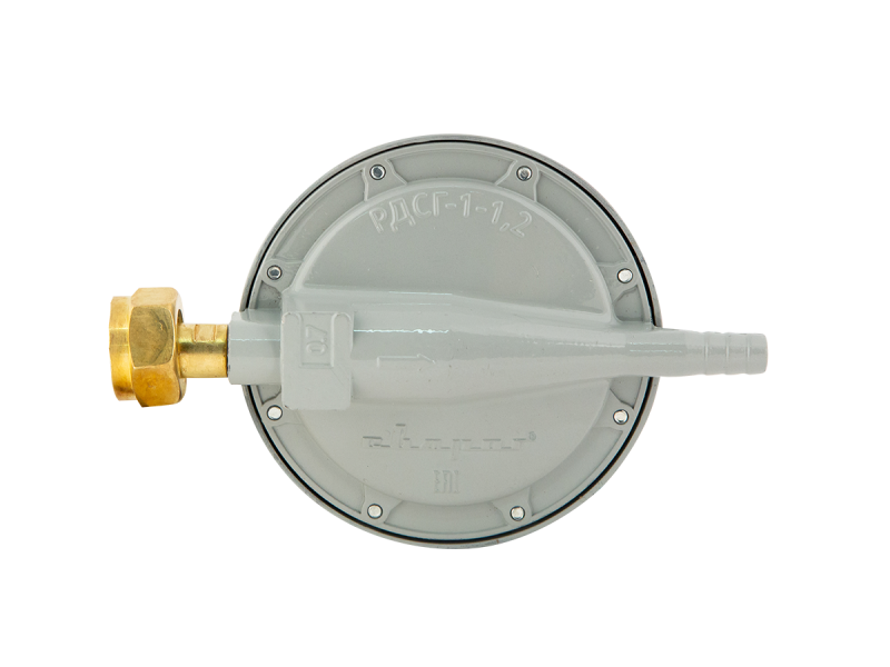 rdsg-1-12_b_0.png